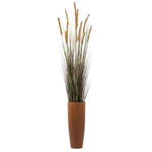 Planta Cattail