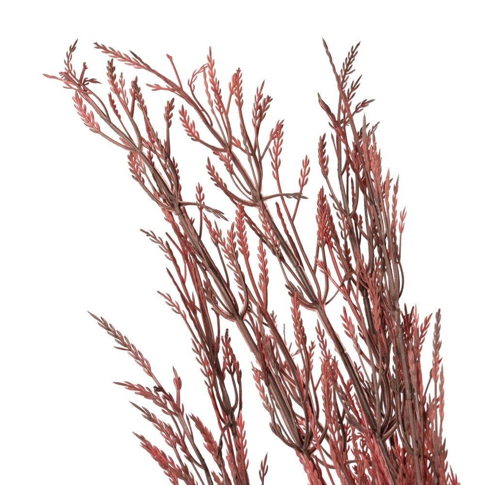 WhatsApp Image 2025-10-25 at 09.29.15