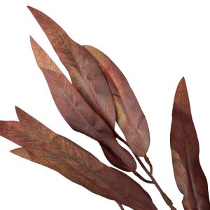 Vara de Rosas Naturales